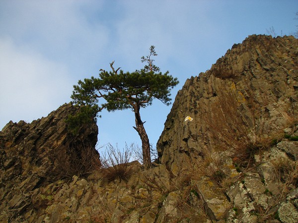 ESK STEDOHO - KALICH 538M,TROJHORA 451M